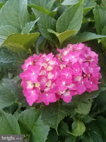 $340,000 | 7908 Ardmore Avenue, Baltimore, MD 21234