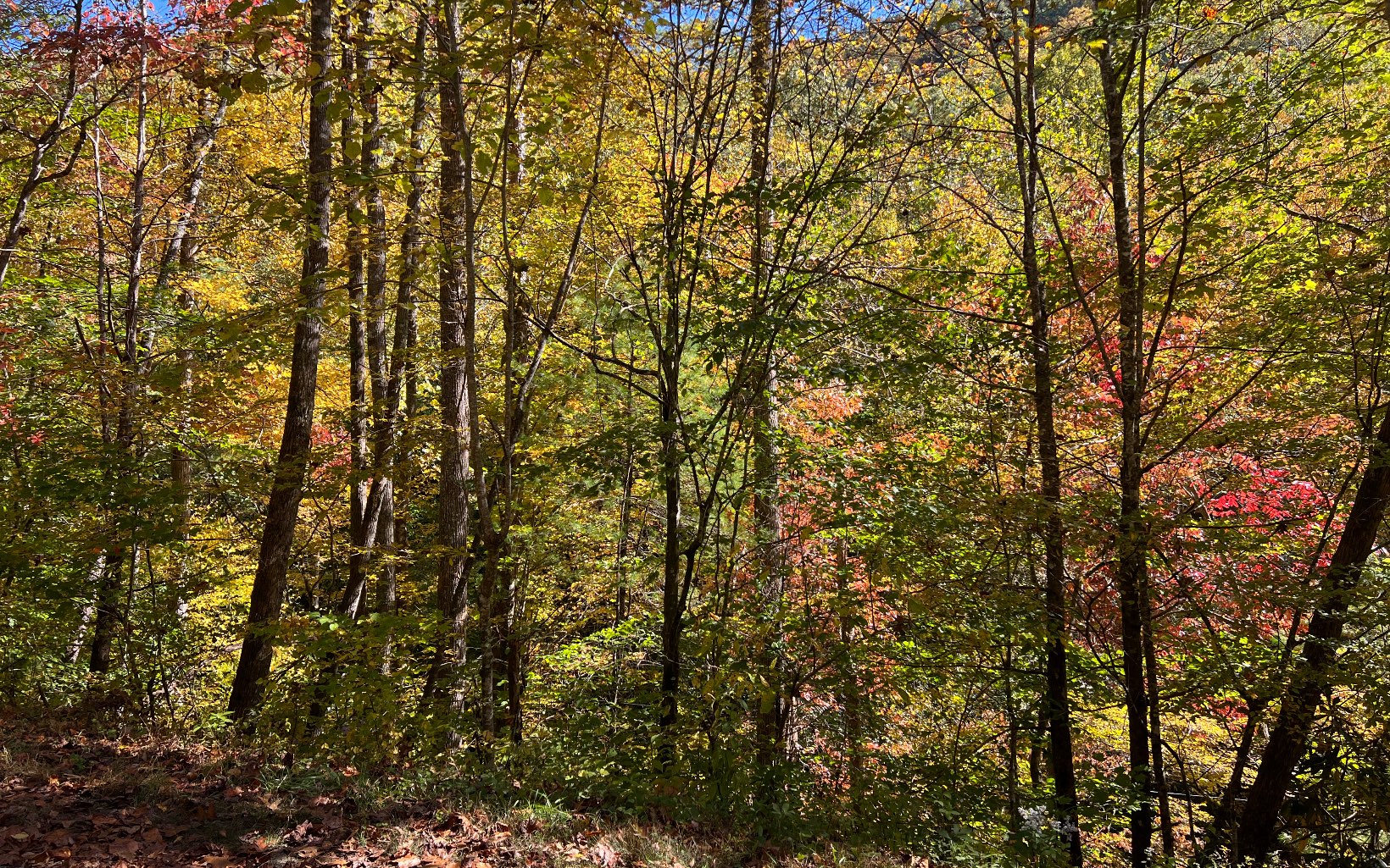 1 Tusquittee Road Hayesville, NC 28904 - Photo 12 of 13 Additional View