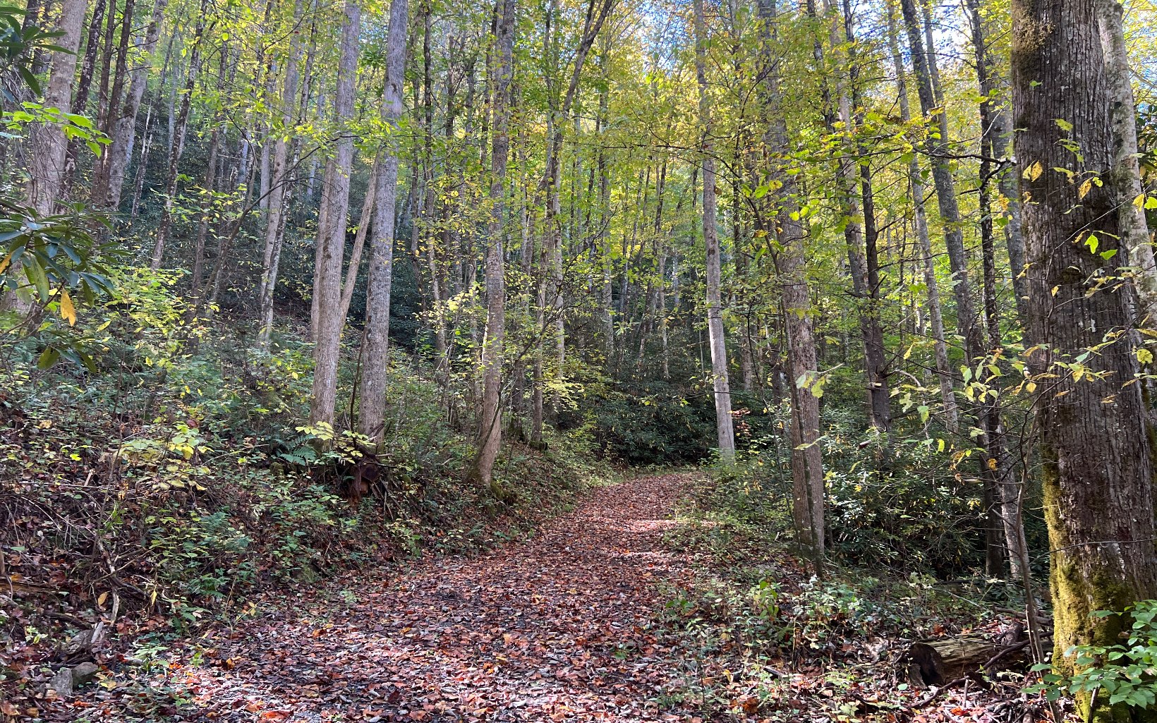 1 Tusquittee Road Hayesville, NC 28904 - Photo 2 of 13 Additional View