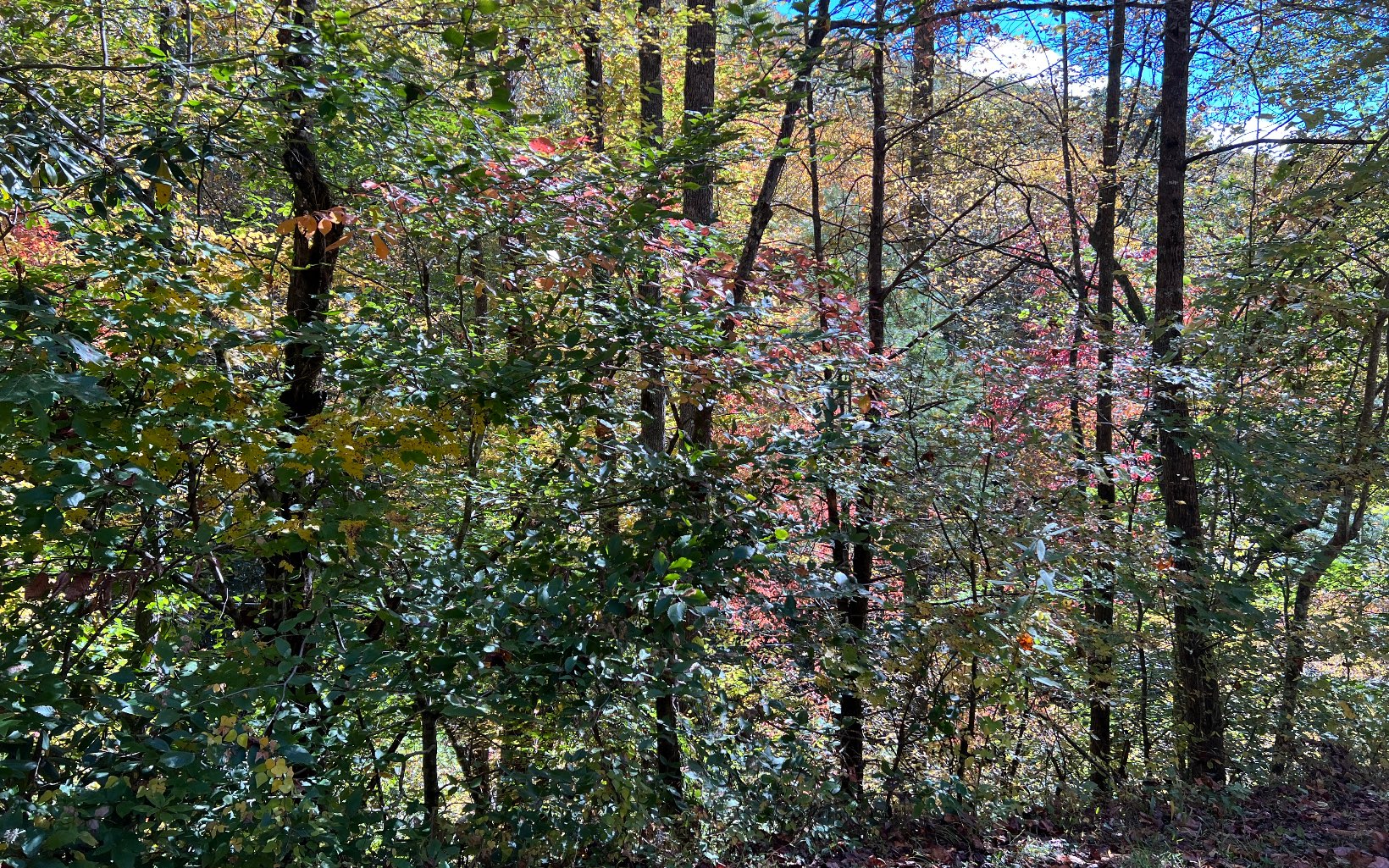 1 Tusquittee Road Hayesville, NC 28904 - Photo 7 of 13 Additional View