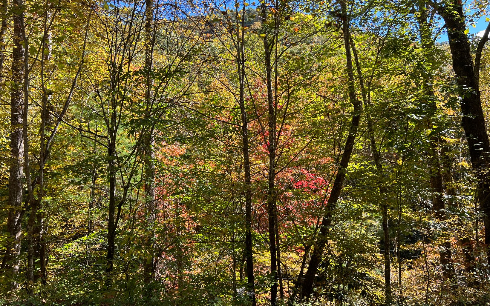1 Tusquittee Road Hayesville, NC 28904 - Photo 9 of 13 Additional View