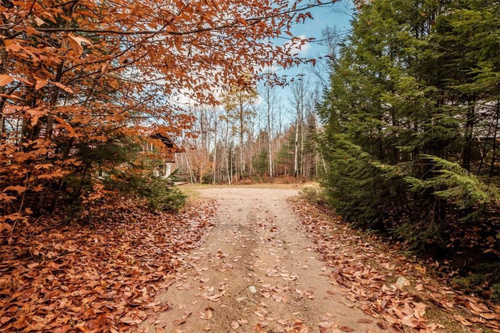 198 Highland Park Road Fryeburg, ME 04037 - Photo 2 of 35 Driveway is private leading you into...