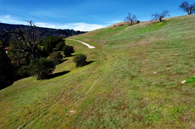 a view of a field with an ocean