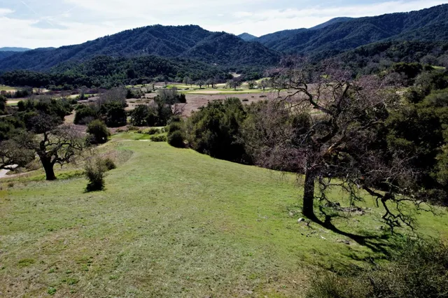 a view of a lush green hillside and a building