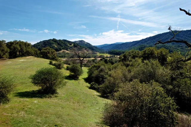 a view of a lake in middle of forest