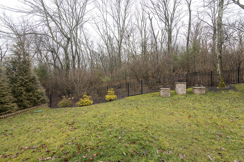149 Allenhurst Circle Franklin, TN 37067 - Photo 38 of 44 a view of a yard with large trees