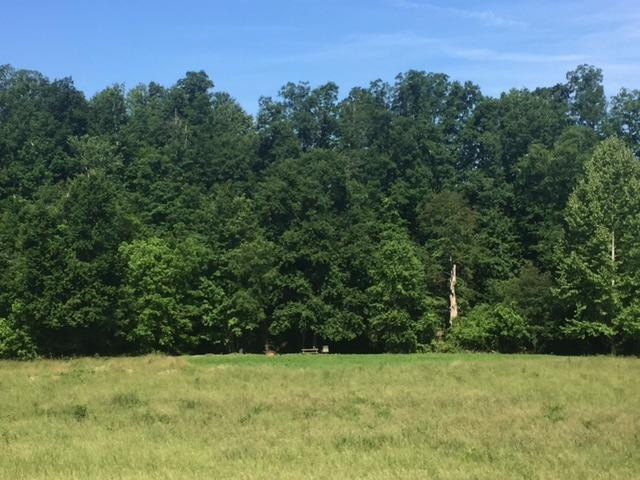 933 Long Branch Road Jeffersonville, KY 40337 - Photo 2 of 16 Photo 2