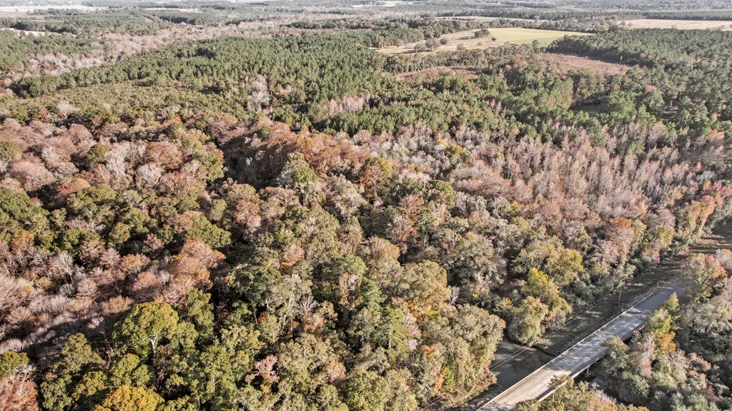 0 Gilley Mill Road Headland, AL 36345 - Photo 14 of 15