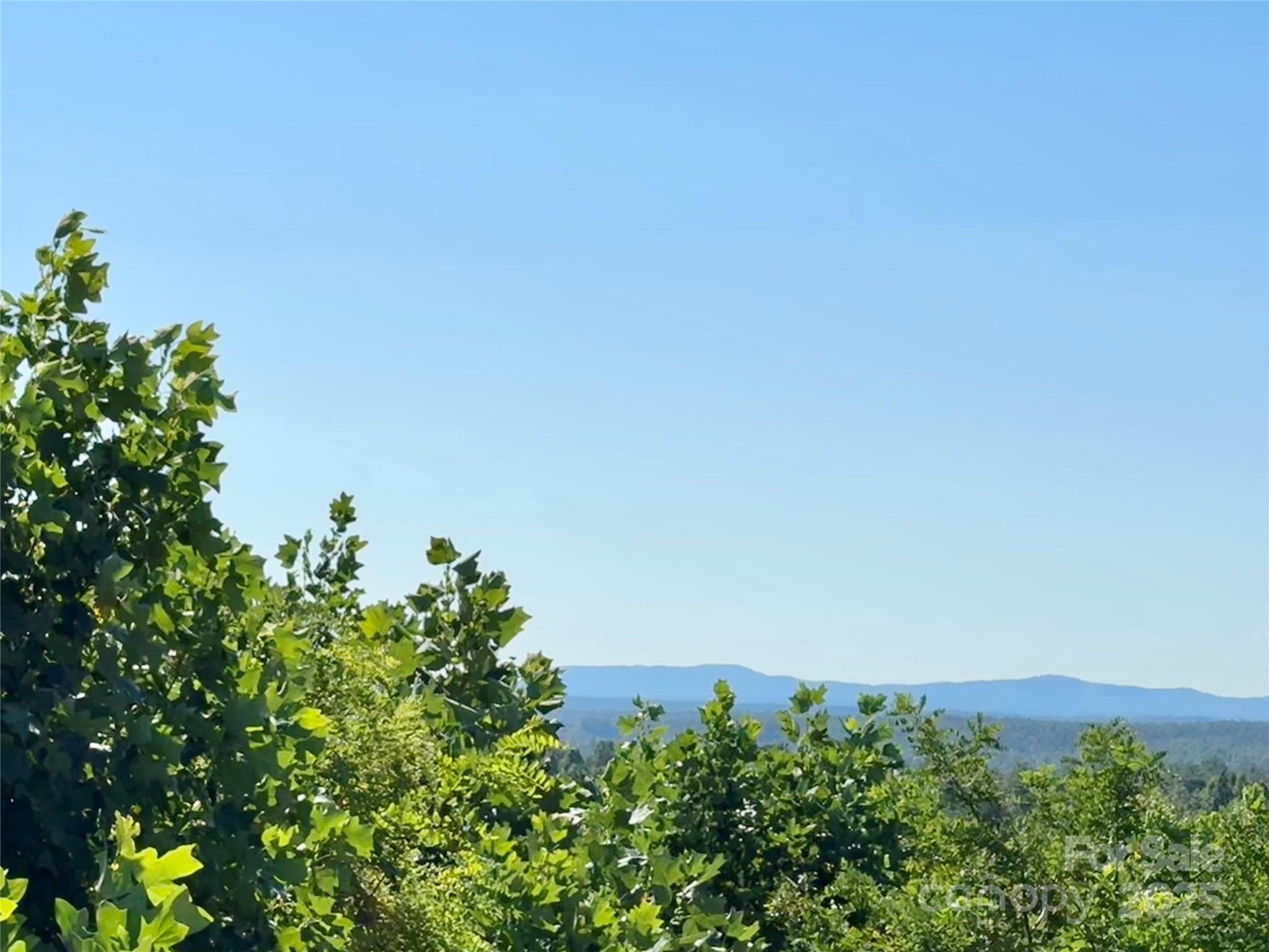 C6 River Club Ridge Lenoir, NC 28645 - Photo 8 of 47