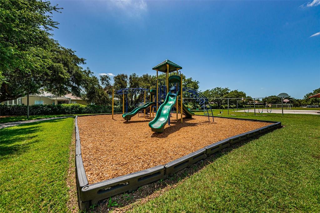 1821 Alvara Place Trinity, FL 34655 - Photo 63 of 63