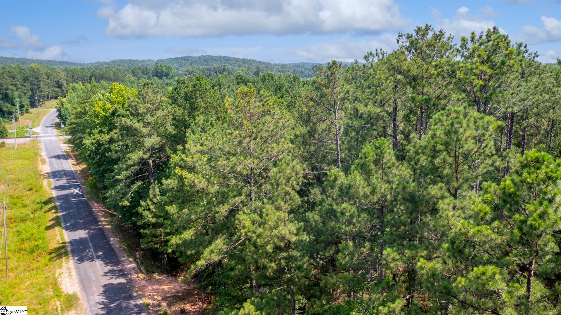 0 Stomp Springs Road Clinton, SC 29325 - Photo 3 of 15