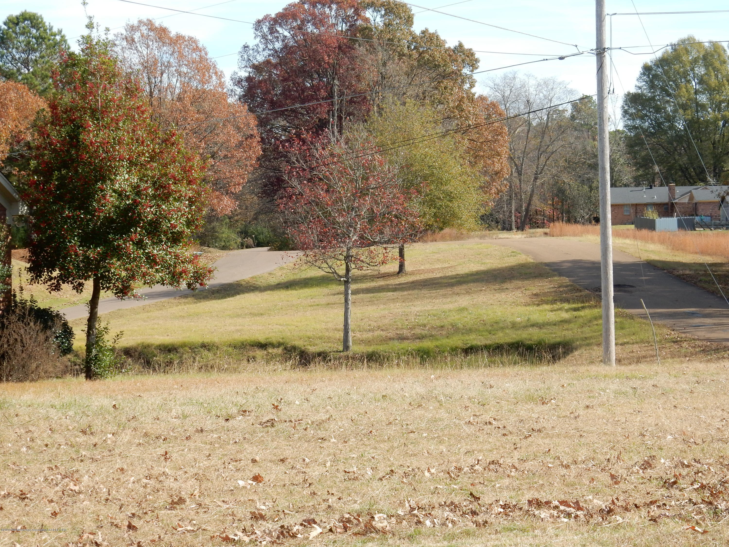 5355 Bent Road Southaven, MS 38671 - Photo 8 of 8 DSCN2432