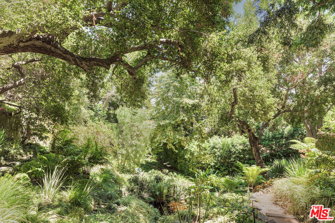 3701 Shannon Road Los Angeles, CA 90027 - Photo 46 of 54 a view of a tree in a yard