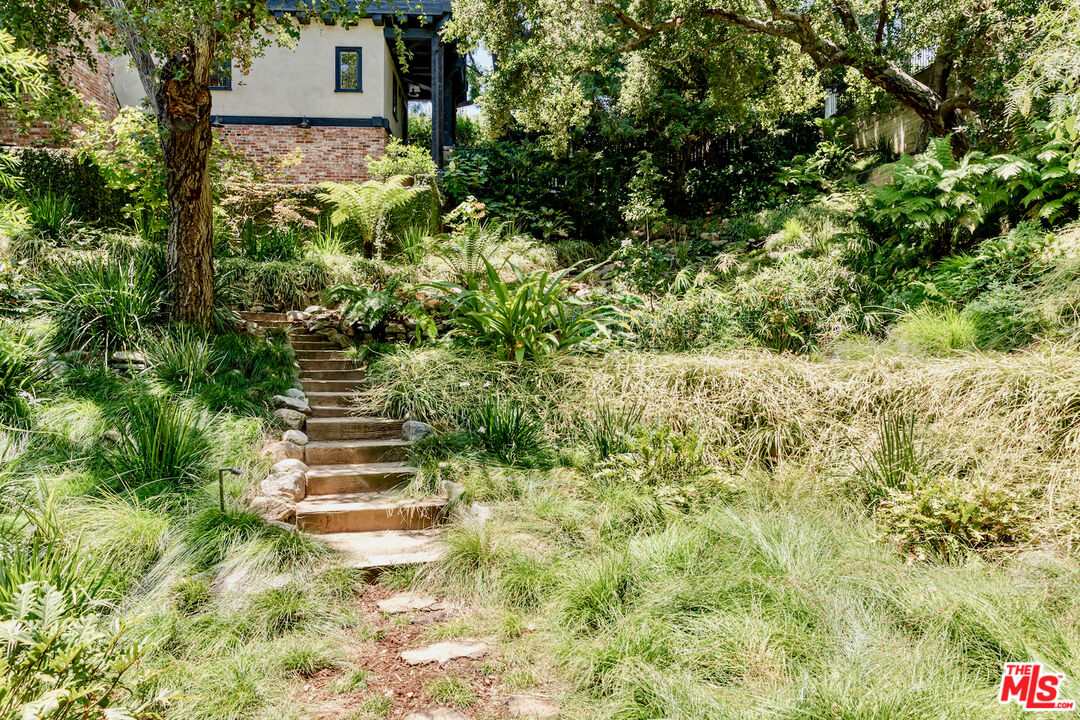 3701 Shannon Road Los Angeles, CA 90027 - Photo 49 of 54 a view of a yard with plants and large trees