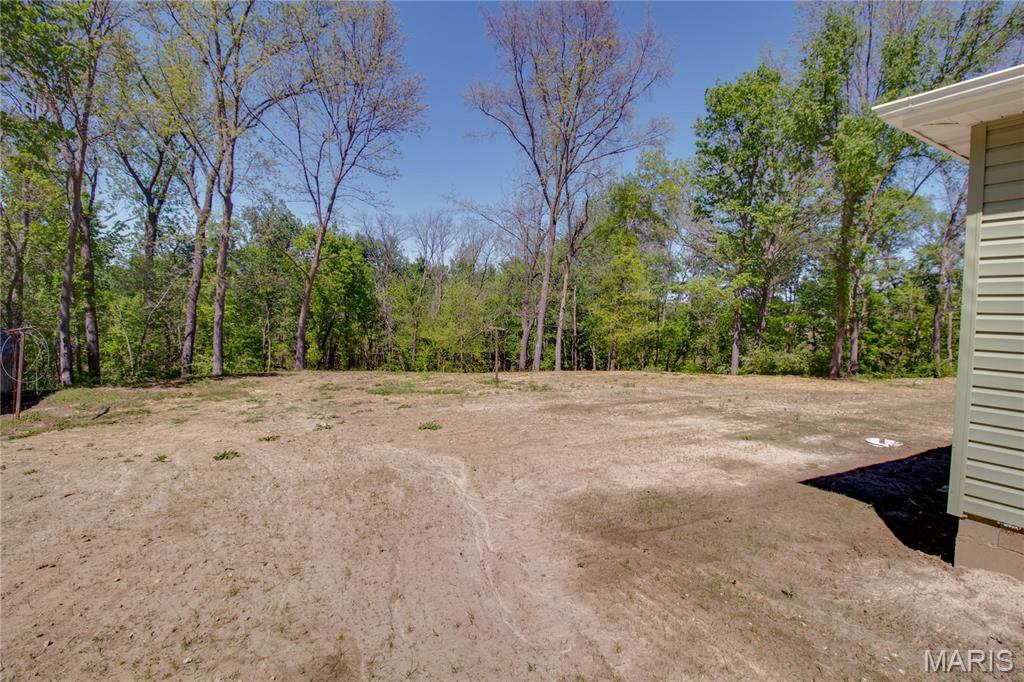 228 West Kane Road Kane, IL 62054 - Photo 41 of 42