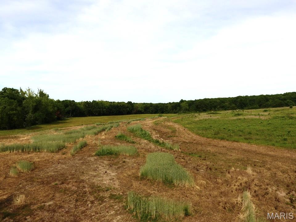 Tbd Van Horn Road Bland, MO 65014 - Photo 18 of 47
