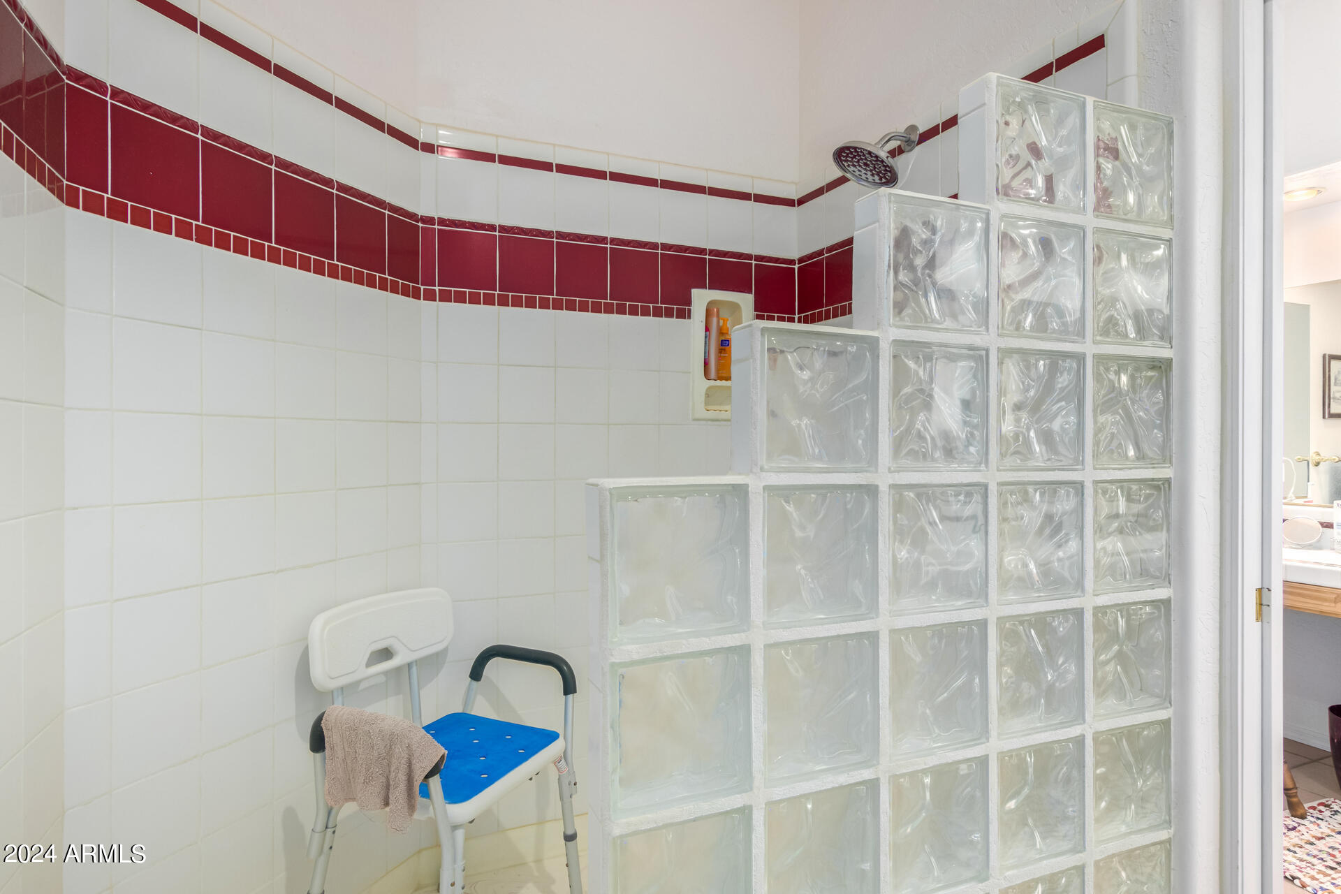 2675 North Al Sieber Road Apache Junction, AZ 85119 - Photo 16 of 40 Master Shower