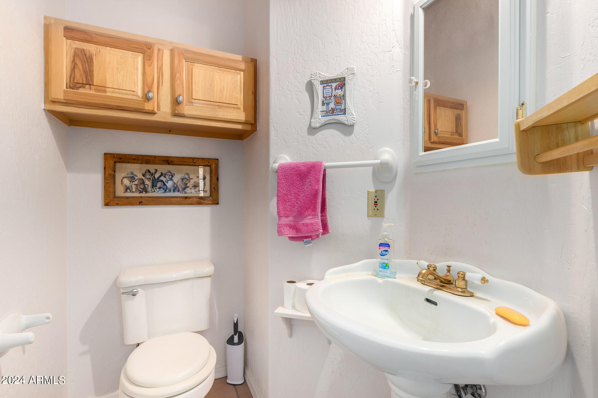 2675 North Al Sieber Road Apache Junction, AZ 85119 - Photo 25 of 40 Powder Room