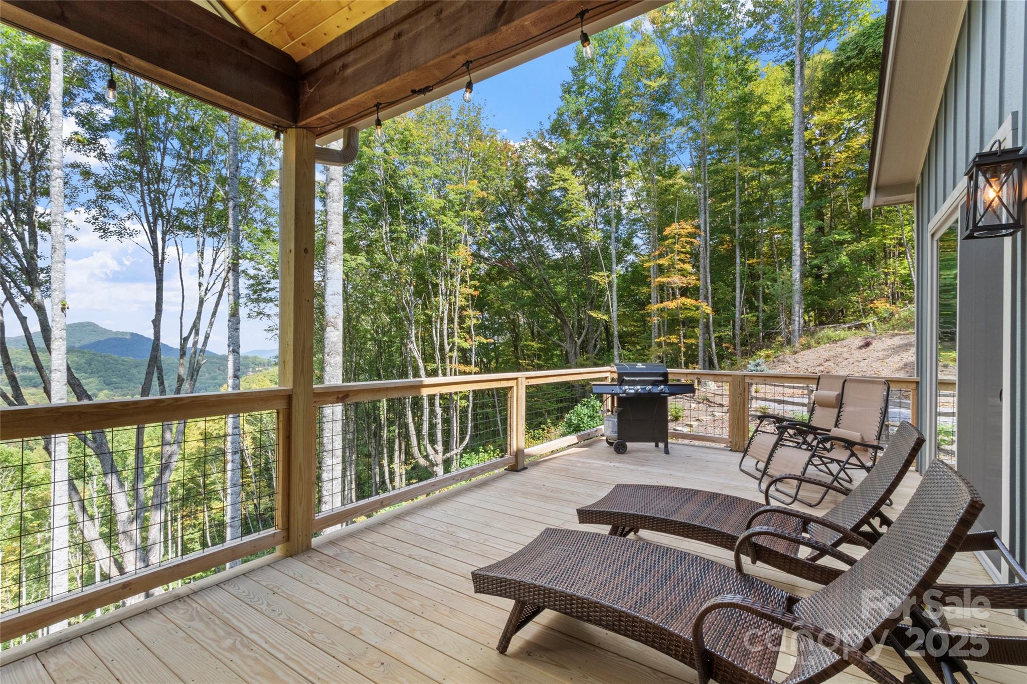 377 South Ridgerunner Road Burnsville, NC 28714 - Photo 4 of 44 Gallery Image 4