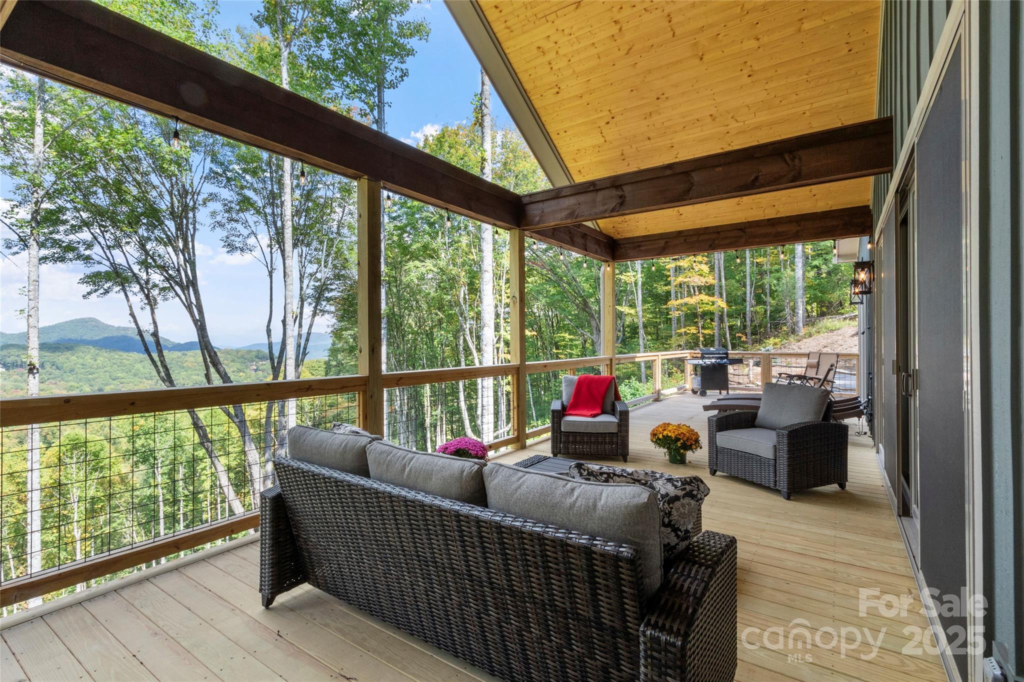 377 South Ridgerunner Road Burnsville, NC 28714 - Photo 5 of 44 Gallery Image 5