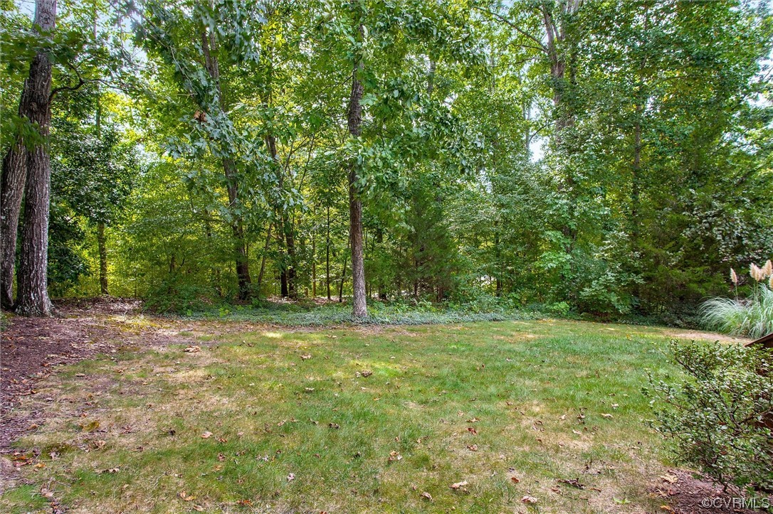 5826 Spinnaker Cove Road Midlothian, VA 23112 - Photo 32 of 38 View of yard