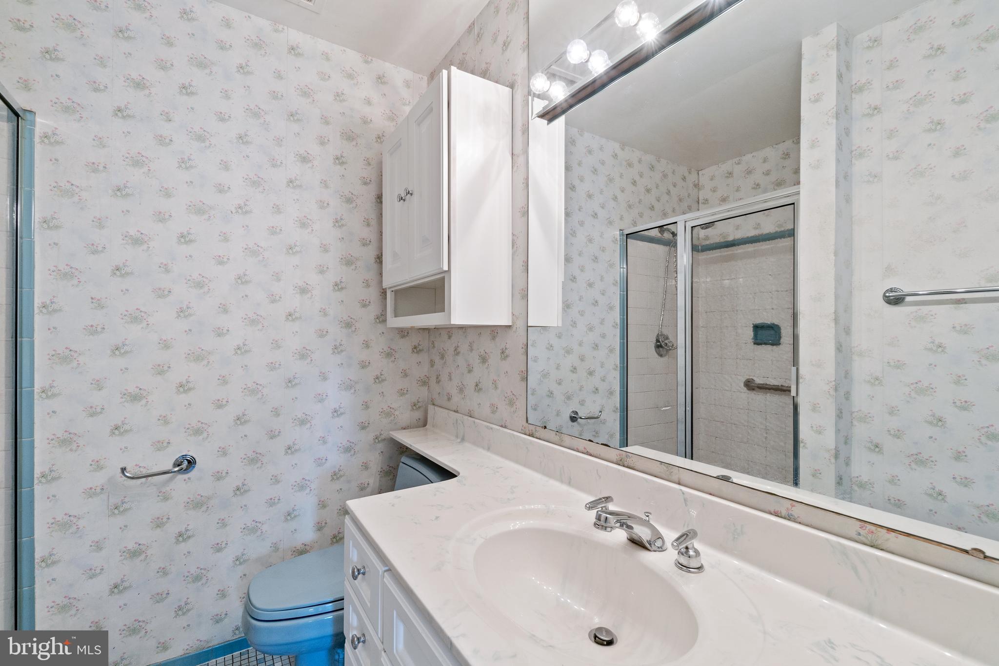 3432 Falling Green Road Olney, MD 20832 - Photo 22 of 52 Primary Bath