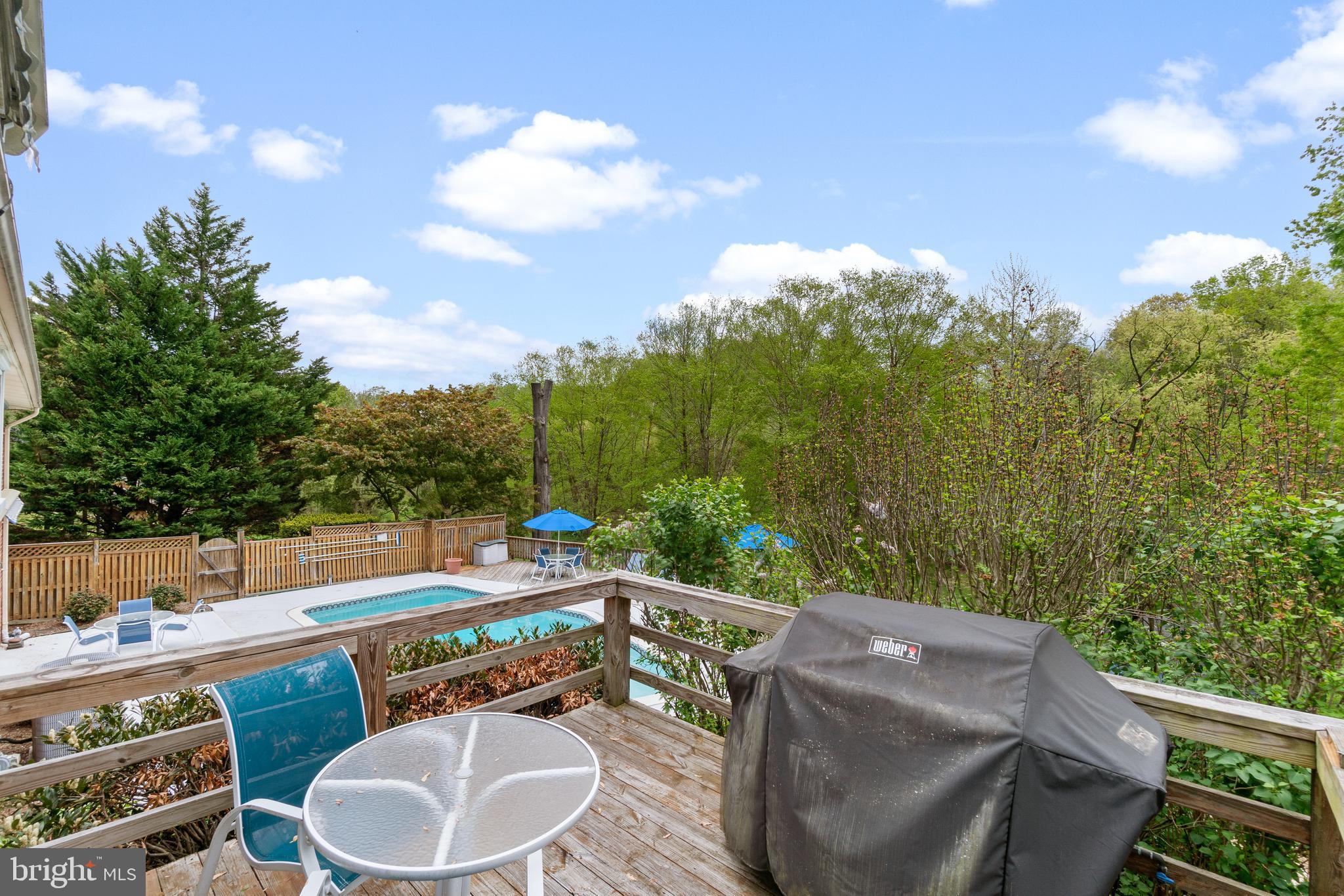3432 Falling Green Road Olney, MD 20832 - Photo 3 of 52 What a view!
