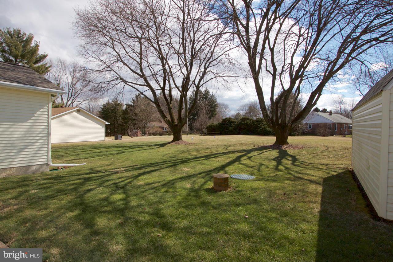 2307 Mills Road Fallston, MD 21047 - Photo 25 of 30 a view of yard with tree