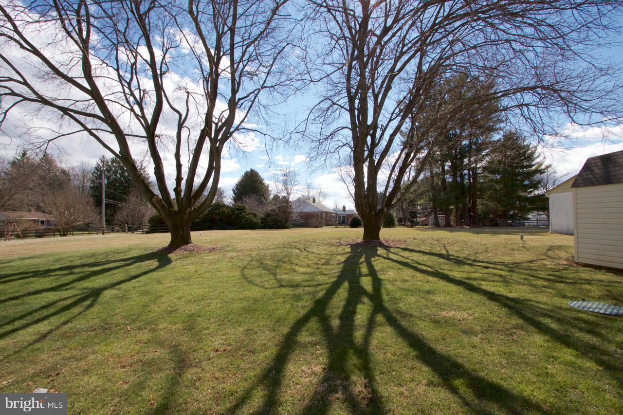 2307 Mills Road Fallston, MD 21047 - Photo 26 of 30 a view of yard with trees
