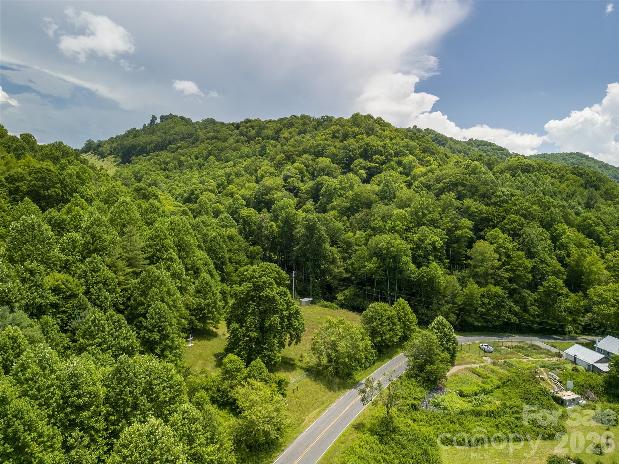 168 Smith Creek Road Mars Hill, NC 28754 - Photo 15 of 46