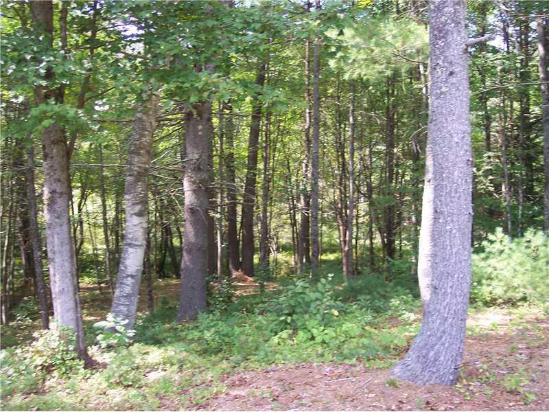 172 Beaver Dam Road Waterboro, ME 04061 - Photo 27 of 34 Yard/Garden.