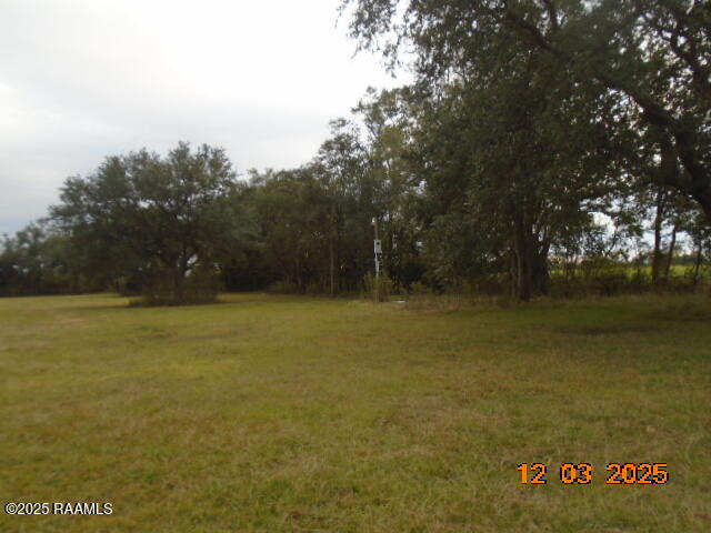 4211 Erice Campbell Road New Iberia, LA 70560 - Photo 2 of 3 DSC09463