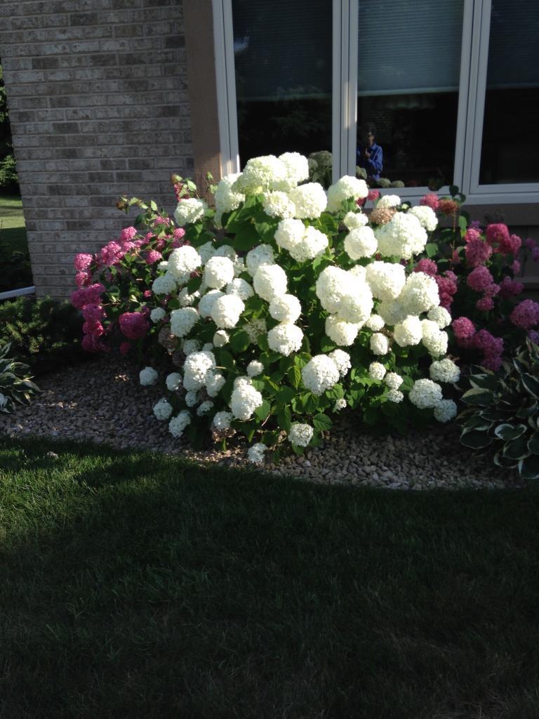 109 Interlachen Road Burnsville, MN 55306 - Photo 24 of 26 Gallery Image 24