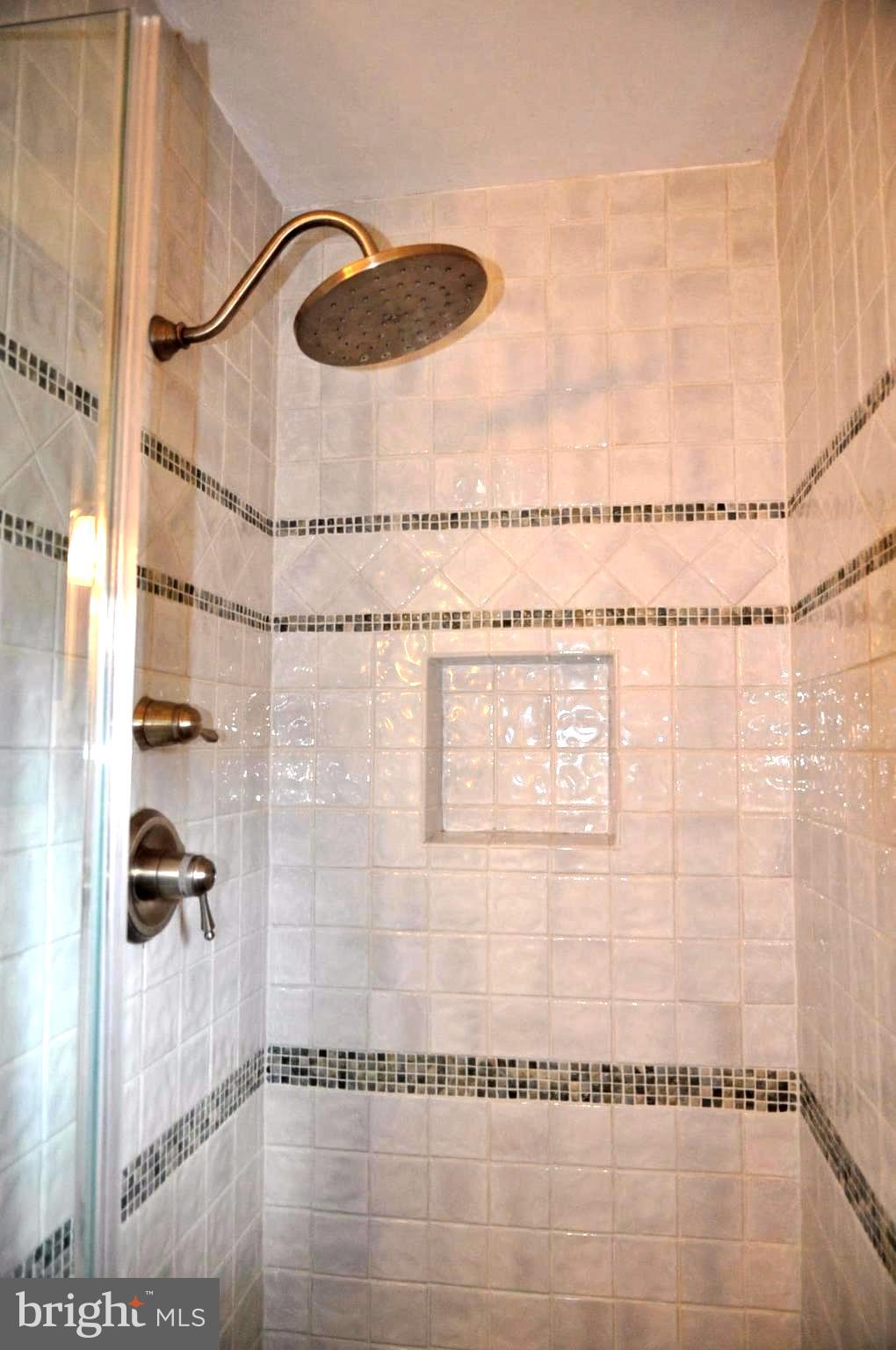 8428 Willow Forge Road Springfield, VA 22152 - Photo 25 of 44 Nice shower door and fixtures