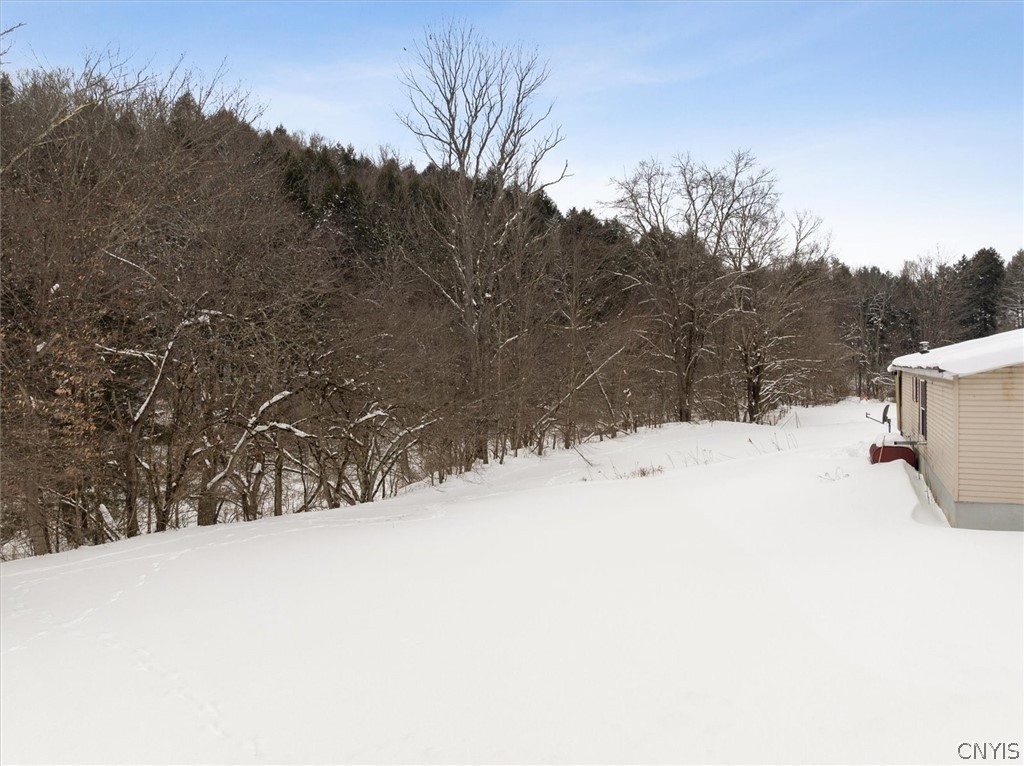 9996 Stanbro Road Brookfield, NY 13485 - Photo 11 of 46