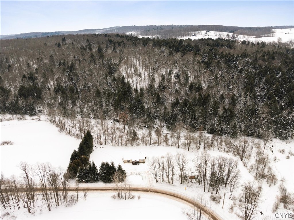 9996 Stanbro Road Brookfield, NY 13485 - Photo 18 of 46