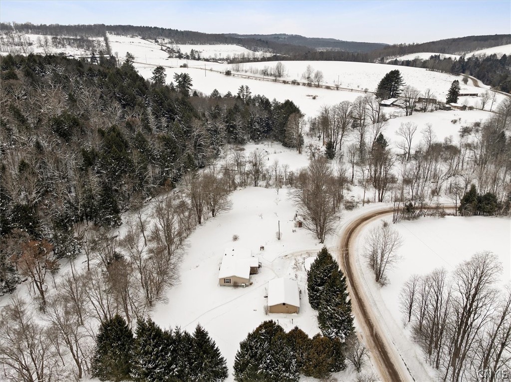 9996 Stanbro Road Brookfield, NY 13485 - Photo 10 of 46