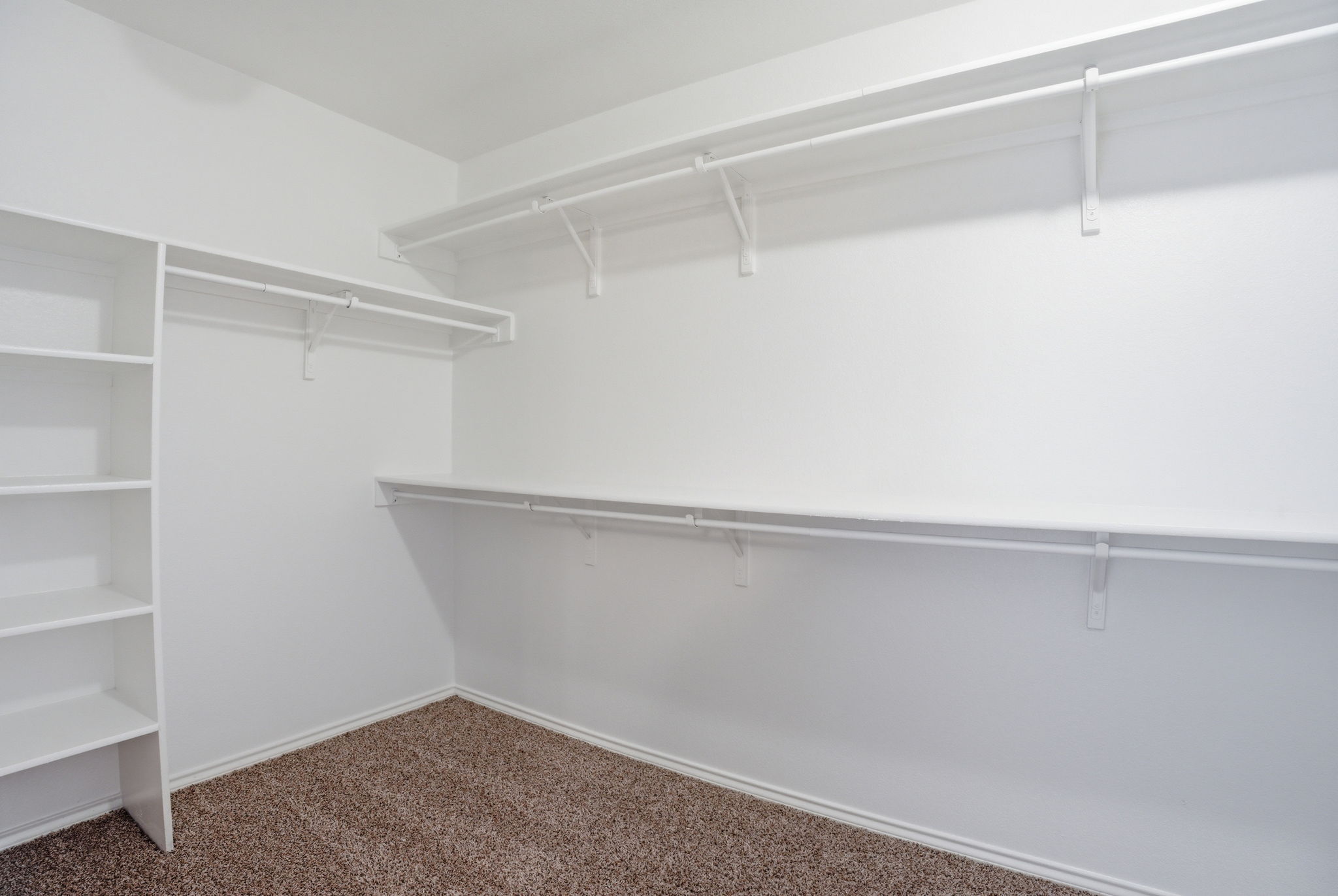 670 Landon Samuel Loop Pflugerville, TX 78660 - Photo 9 of 22 Walk-in closet featuring built-in shelving, white walls, carpet flooring, and multiple clothing rods for storage