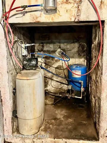 a view of a backyard with plants and large tree