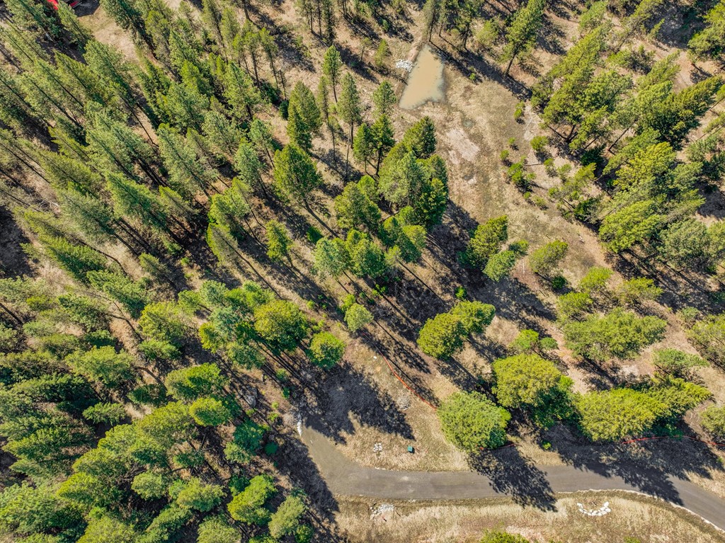 9 Collins Court, Unit 2 McCall, ID 83638 - Photo 6 of 33
