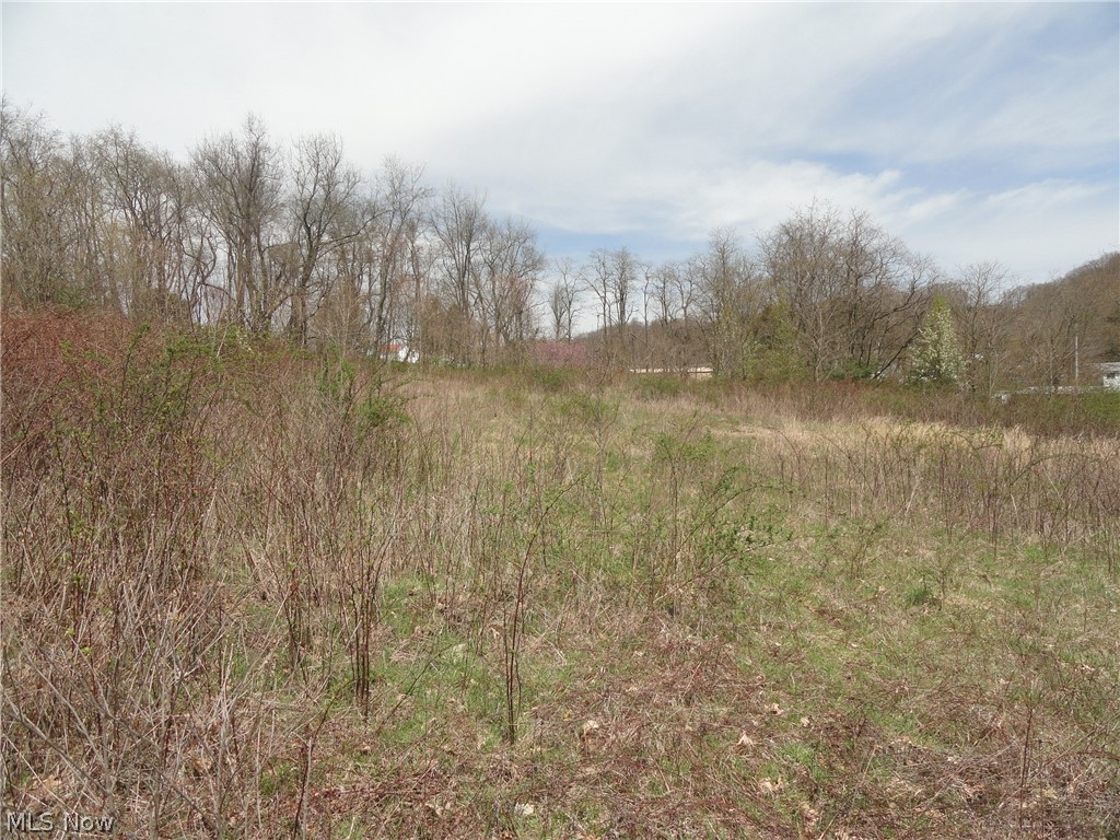 Johnsonville Road Chester, WV 26034 - Photo 15 of 20 Gallery Image 15