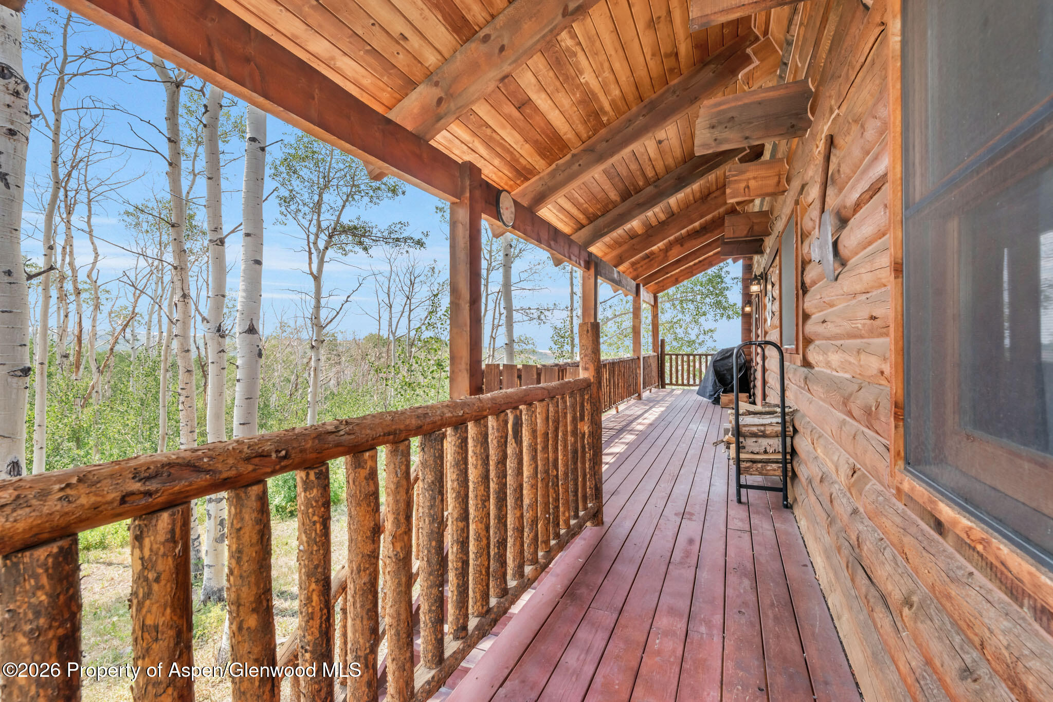 943 Routt Forest Drive Craig, CO 81625 - Photo 27 of 60 IMGP6111