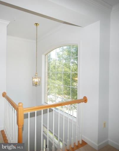 2112 Elm Tree Lane Silver Spring, MD 20906 - Photo 9 of 24 Interior (General)