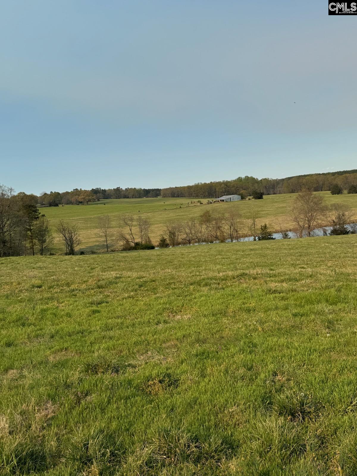 542 Pea Ridge Highway Jonesville, SC 29353 - Photo 32 of 72