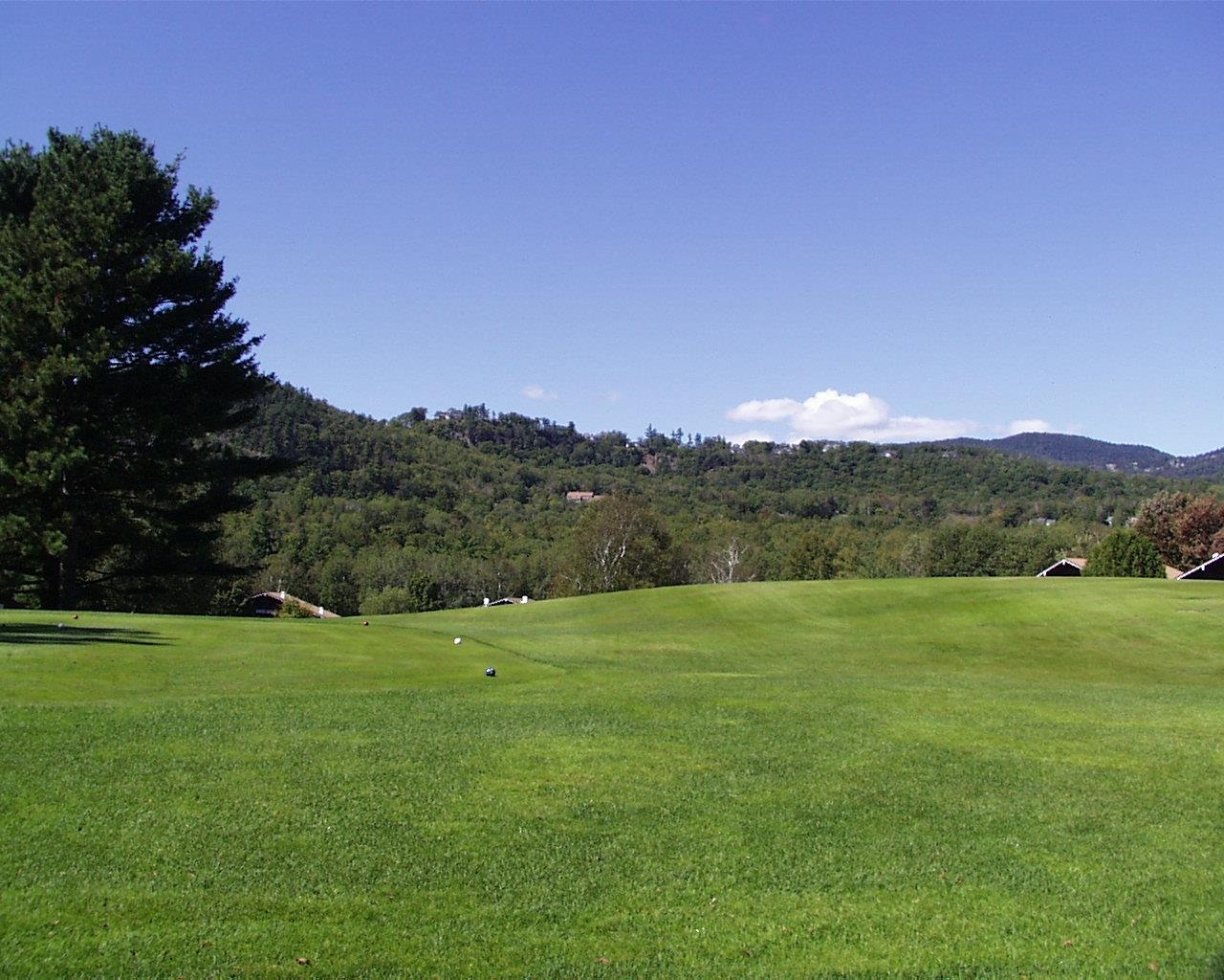 46 Linderhof Golf Course Road, Unit D6 Bartlett, NH 03838 - Photo 29 of 31
