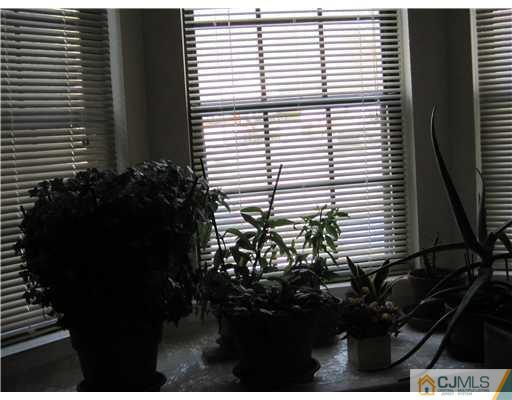 1202 Maplecrest Road Edison, NJ 08820 - Photo 10 of 10 a view of a balcony with a potted plant