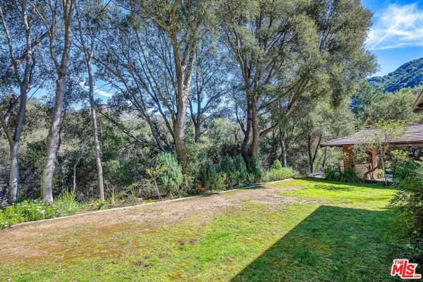 a view of a yard with a tree