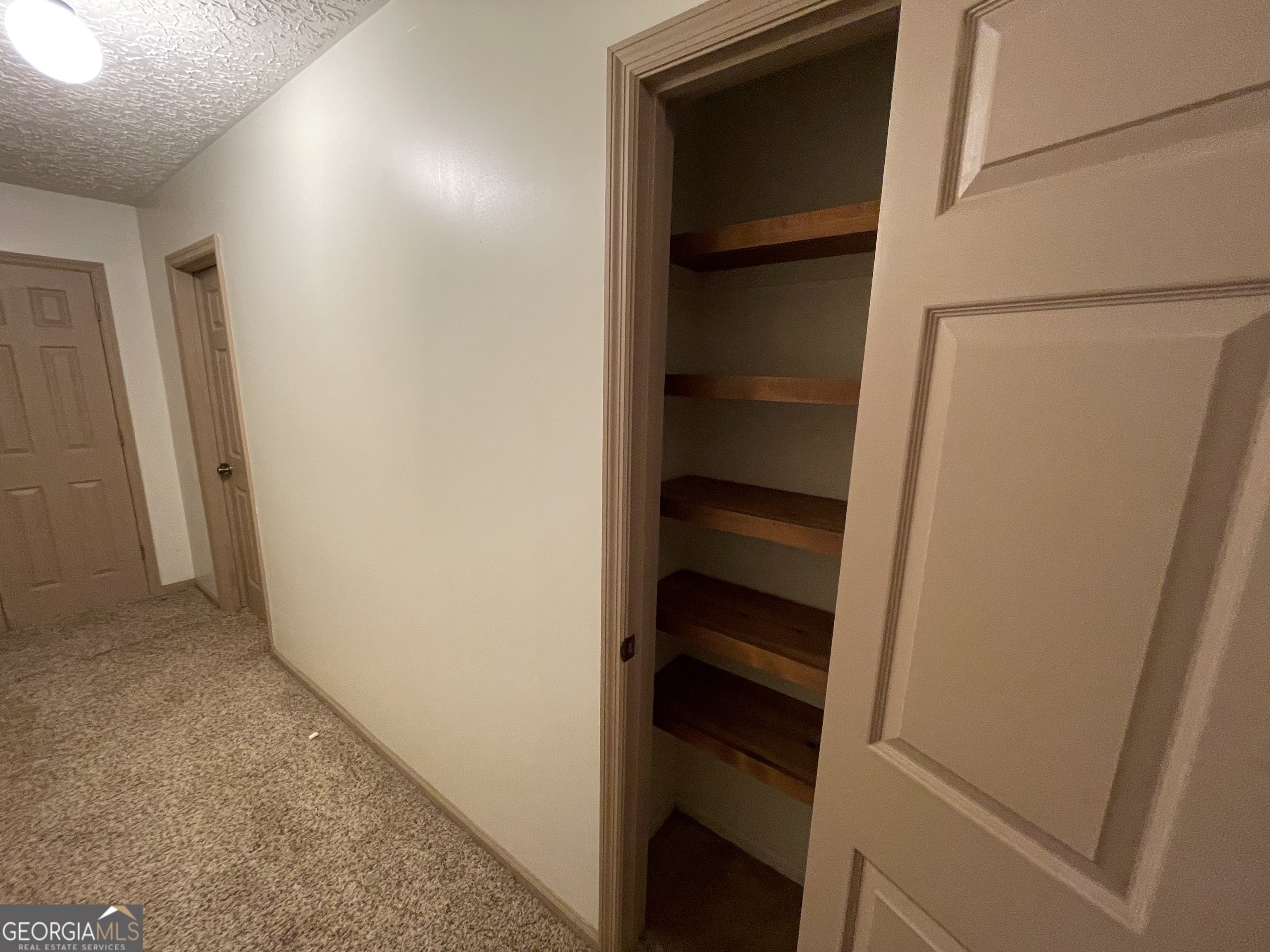 173 Berkley Road Cochran, GA 31014 - Photo 47 of 88 a view of walk in closet with empty racks
