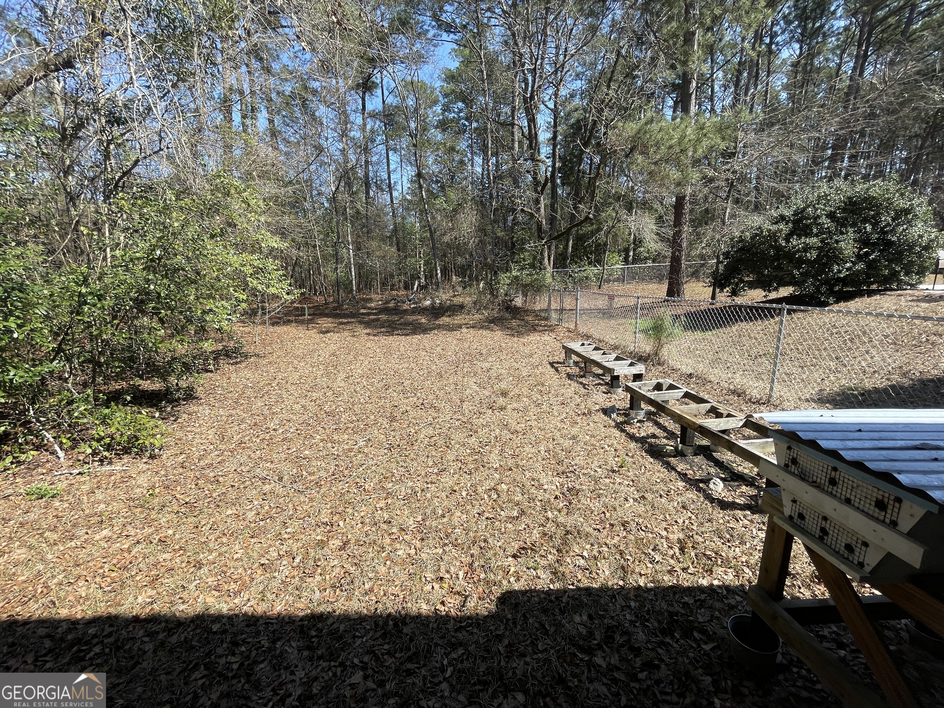 173 Berkley Road Cochran, GA 31014 - Photo 84 of 88 a view of a yard with trees