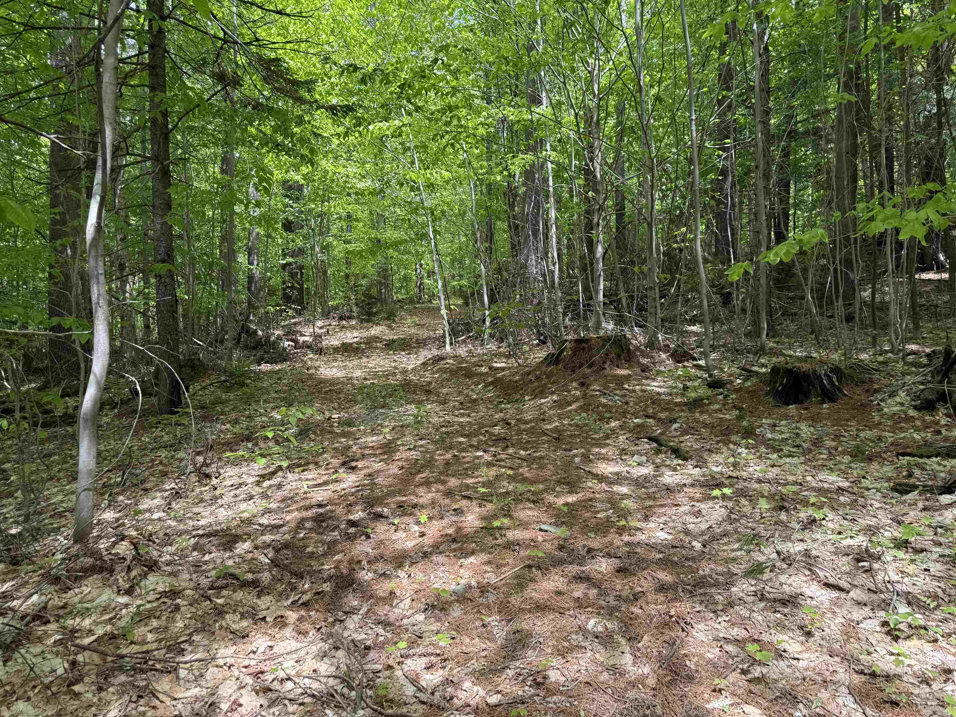 Lot 3 North Street Dover, VT 05341 - Photo 4 of 10